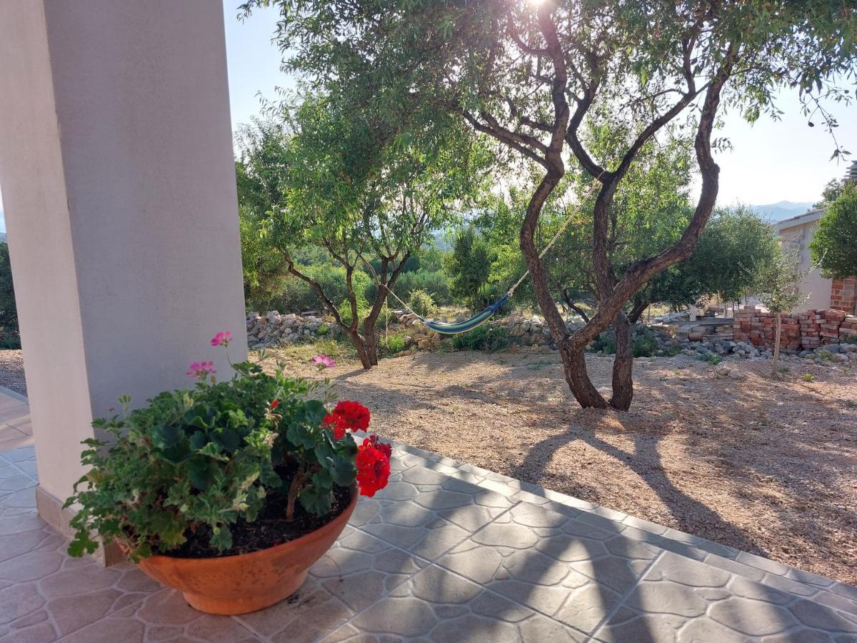 Villa Olive Garden House Šibenik Exterior foto